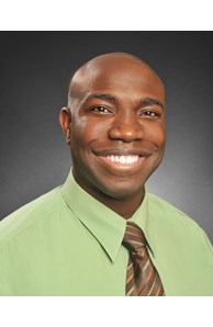 Arian Hendry image