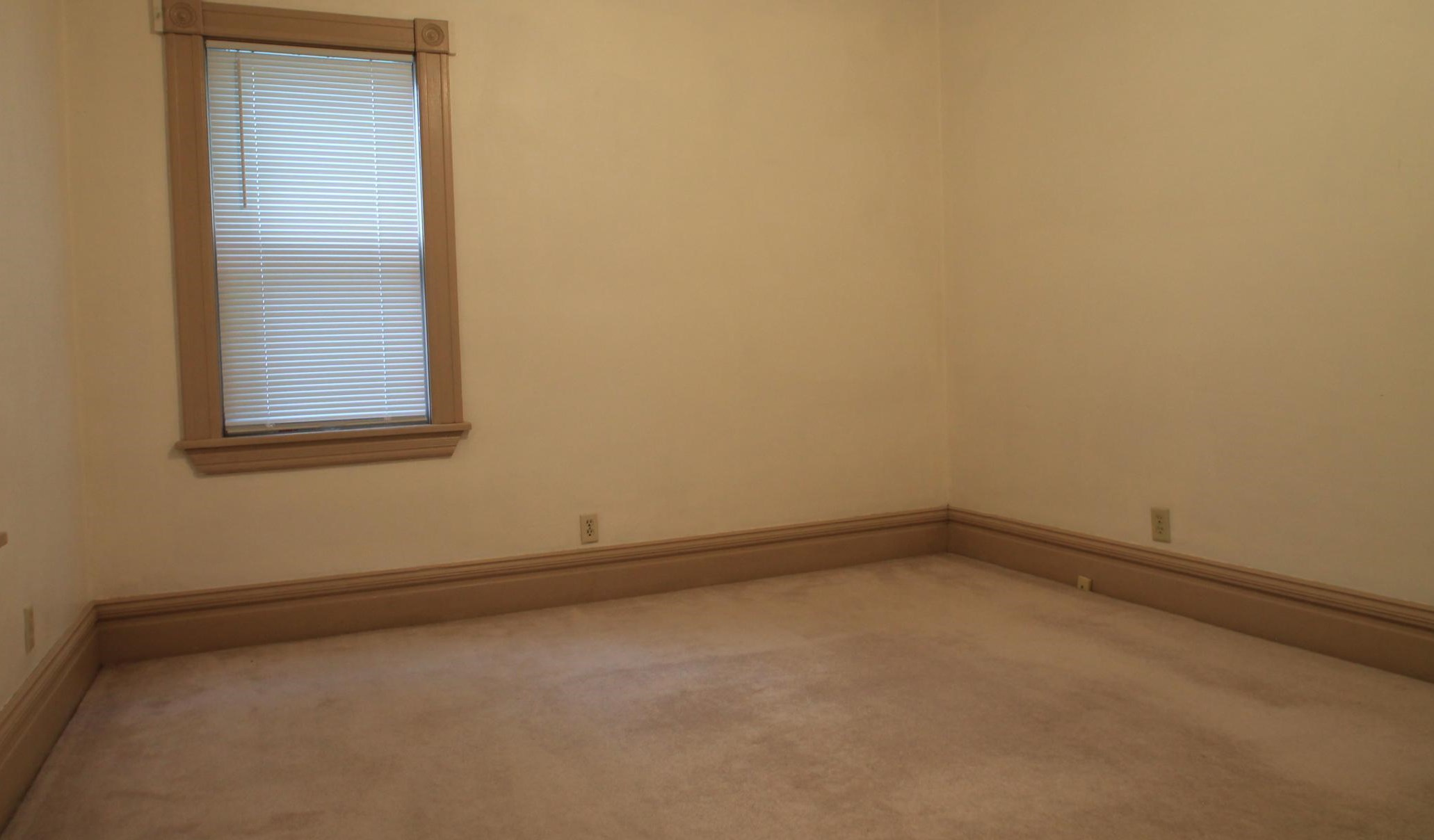 1162 Jessie St, Saint Paul MN  55130-3609 exterior