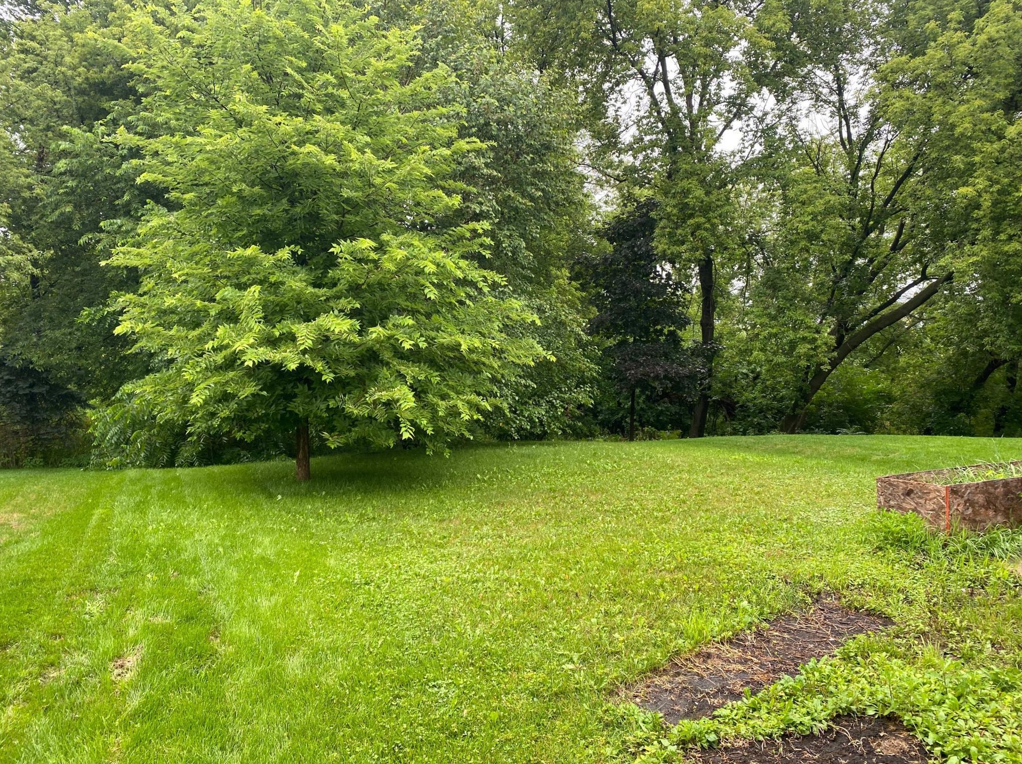 3311 7th St, Rochester, MN 55901-6625
