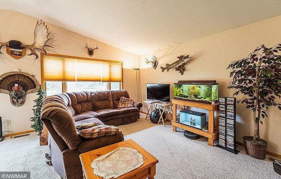 1008 Sirius Dr, Wilton, MN 56601-5567