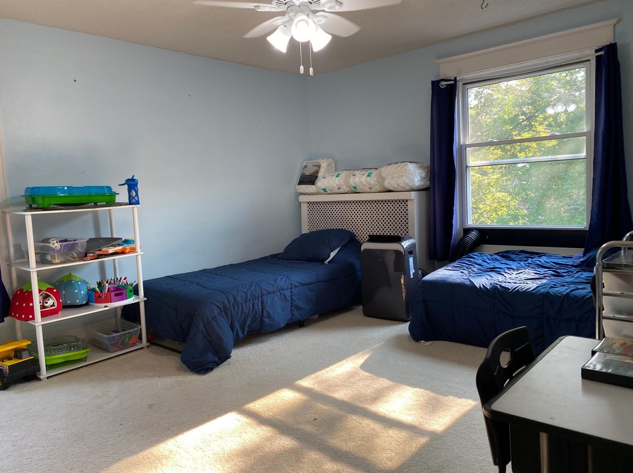 403 Vine Ave, Oakland MN  56007-4453 exterior