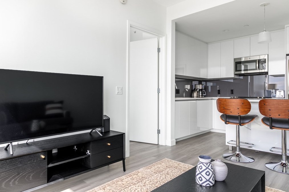 50 Causeway St #2909, Boston, MA 02114