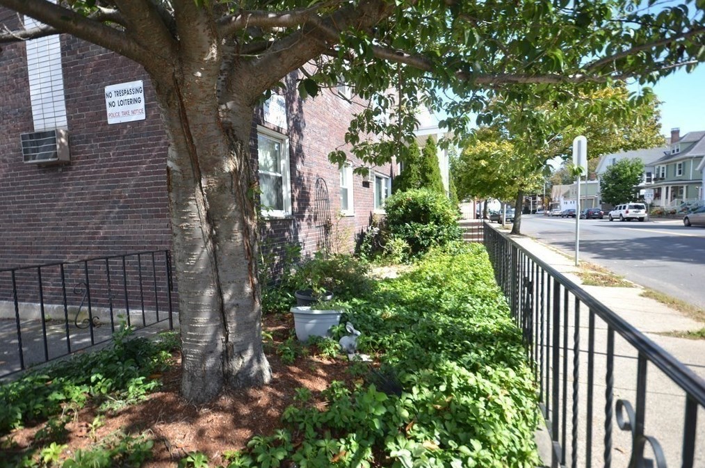 21 Lewis St #8, Lynn, MA 01902