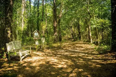 38 Roos Road - Photo 1