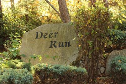 Lot 4 Deer Run - Photo 1