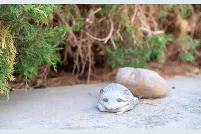 16046 Redondo Drive, Tracy, CA 95304 - Photo 34