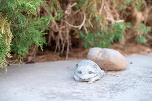 16046 Redondo Dr, Tracy, CA 95304 - Photo 34