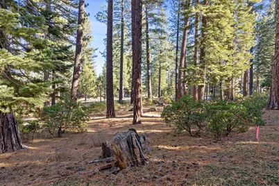 110 Bob Watson, Truckee, CA 96161 - Photo 22