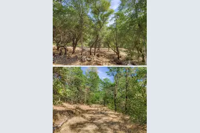 45 Roosa Way, Oroville, CA 95966 - Photo 16