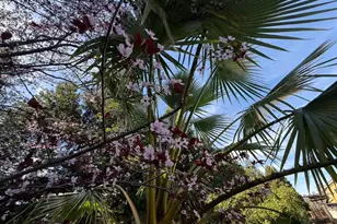 9060 Stockhorse Ln, Granite Bay, CA 95746 - Photo 18