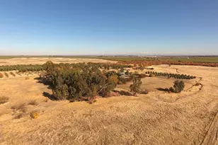 27643 Co Rd 88, Winters, CA 95694 - Photo 18