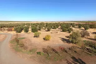 27643 Co Rd 88, Winters, CA 95694 - Photo 4