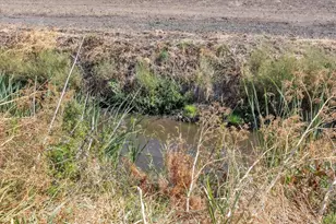 17057 State Hwy 160, Isleton, CA 95641 - Photo 72