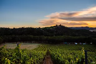 13414 Chalk Hill Rd, Healdsburg, CA 95448 - Photo 14