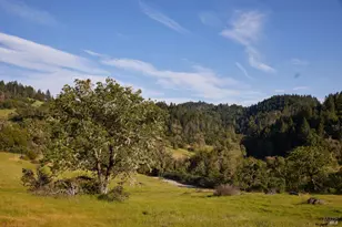 18574 Tomki Rd, Redwood Valley, CA 95470 - Photo 18