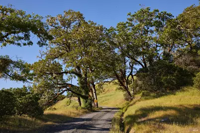 10850 Tomki Road, Redwood Valley, CA 95470 - Photo 22