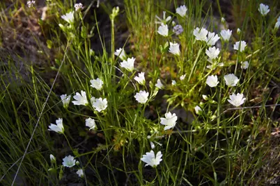 10850 Tomki Road, Redwood Valley, CA 95470 - Photo 12