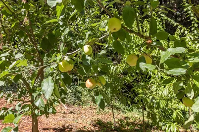 17970 Duncan Road, Guerneville, CA 95446 - Photo 16