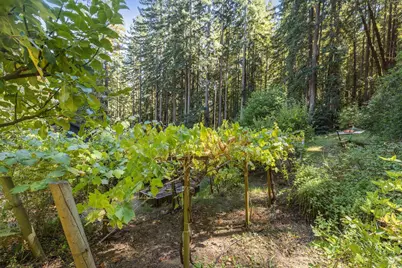 17970 Duncan Road, Guerneville, CA 95446 - Photo 22