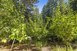 17970 Duncan Rd, Guerneville, CA 95446 - Photo 24