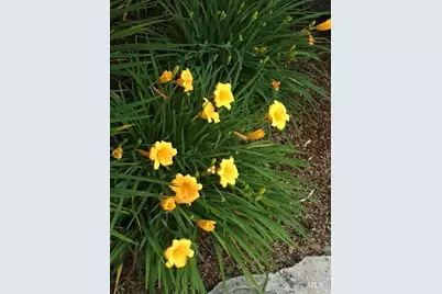 55 Las Casas Drive, San Rafael, CA 94901 - Photo 74