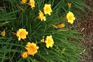 55 Las Casas Dr, San Rafael, CA 94901 - Photo 74