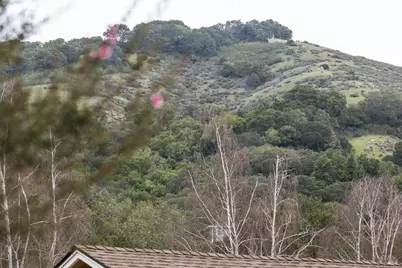 55 Las Casas Drive, San Rafael, CA 94901 - Photo 54