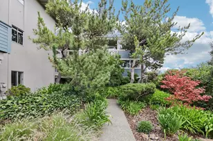 290 Via Casitas, Greenbrae, CA 94904 - Photo 58