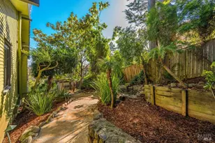 146 Morning Sun Ave, Mill Valley, CA 94941 - Photo 28