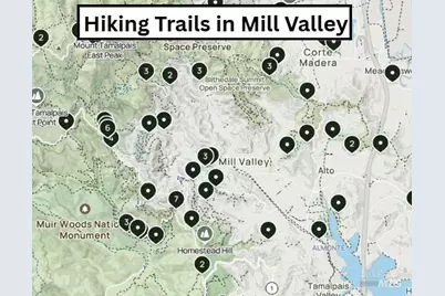 3 Fielding Circle, Mill Valley, CA 94941 - Photo 30