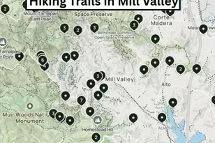 3 Fielding Cir, Mill Valley, CA 94941 - Photo 30