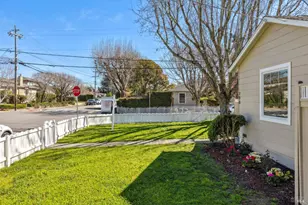 290 Sycamore Ave, Mill Valley, CA 94941 - Photo 52