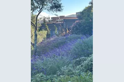 538 Seaver Drive, Mill Valley, CA 94941 - Photo 6