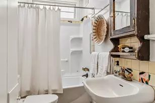 203 Scott St, Mill Valley, CA 94941 - Photo 14