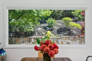 28 Twin Oaks Ave, San Rafael, CA 94901 - Photo 14