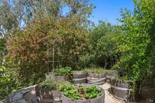 28 Twin Oaks Ave, San Rafael, CA 94901 - Photo 48