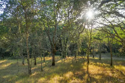 100 Valley Oak Circle, Healdsburg, CA 95448 - Photo 2