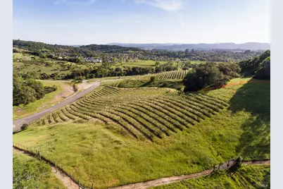 135 Hawthorn Court, Healdsburg, CA 95448 - Photo 2