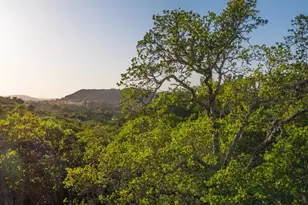 105 NW Juniper Ct, Healdsburg, CA 95448 - Photo 1