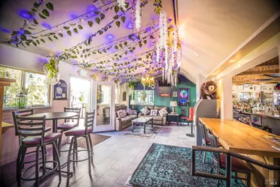 16390 4th Street, Guerneville, CA 95446 - Photo 66