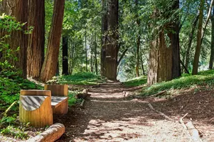 21911 Russian River Ave, Villa Grande, CA 95486 - Photo 14