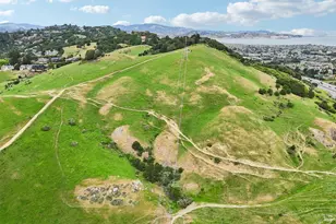 8 Greenfield Ct, Mill Valley, CA 94941 - Photo 40