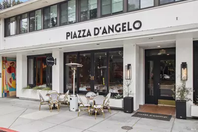 8 Greenfield Court, Mill Valley, CA 94941 - Photo 58