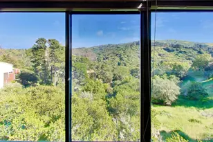 343 Durant Way, Mill Valley, CA 94941 - Photo 26