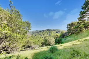 343 Durant Way, Mill Valley, CA 94941 - Photo 46