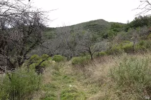 2778 Mix Canyon Rd, Vacaville, CA 95688 - Photo 40