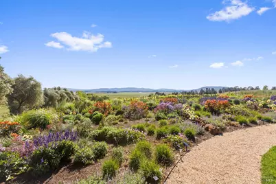 3001 Sears Point Road, Sonoma, CA 95476 - Photo 50