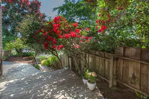 32 Alta Vista Way, San Rafael, CA 94901 - Photo 36