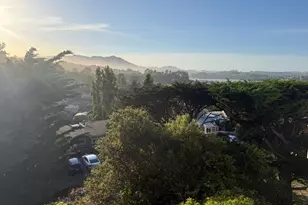 43 Marin Ave, Sausalito, CA 94965 - Photo 16