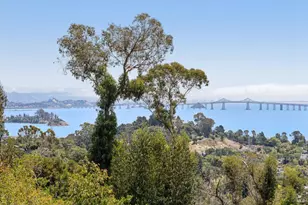 335 Highland Ave, San Rafael, CA 94901 - Photo 50